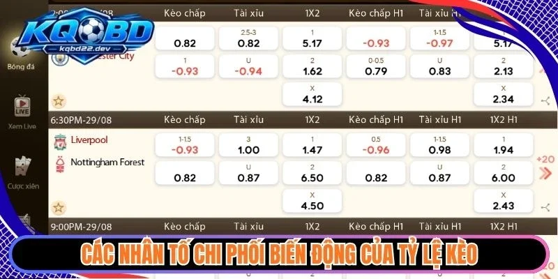 Các nhân tố chi phối biến động của tỷ lệ kèo