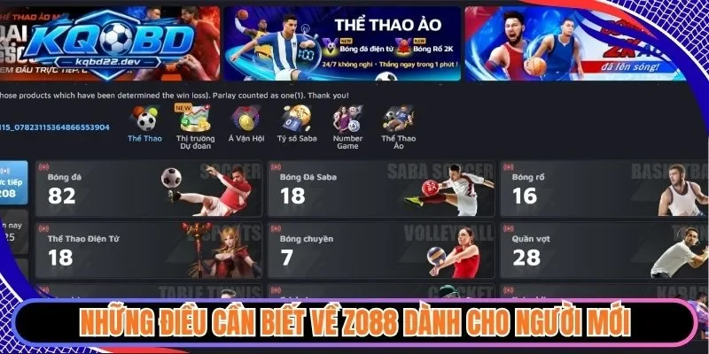 Những điều cần biết về Zo88 dành cho người mới